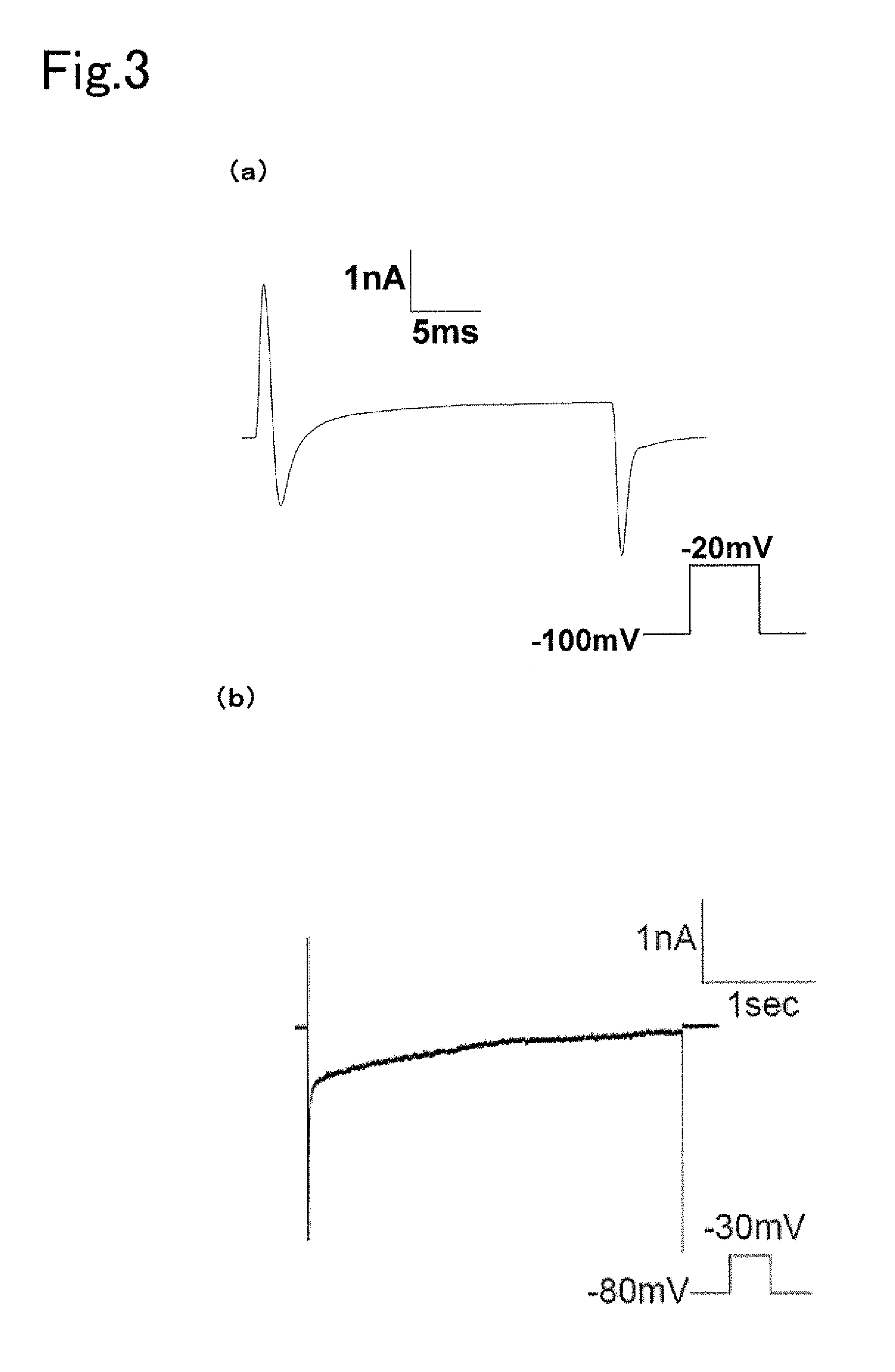 Material for screening for compound acting on ion channel and use thereof