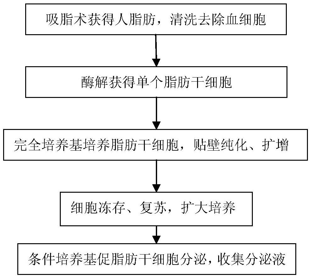 A kind of living cell essence product and its preparation method and application