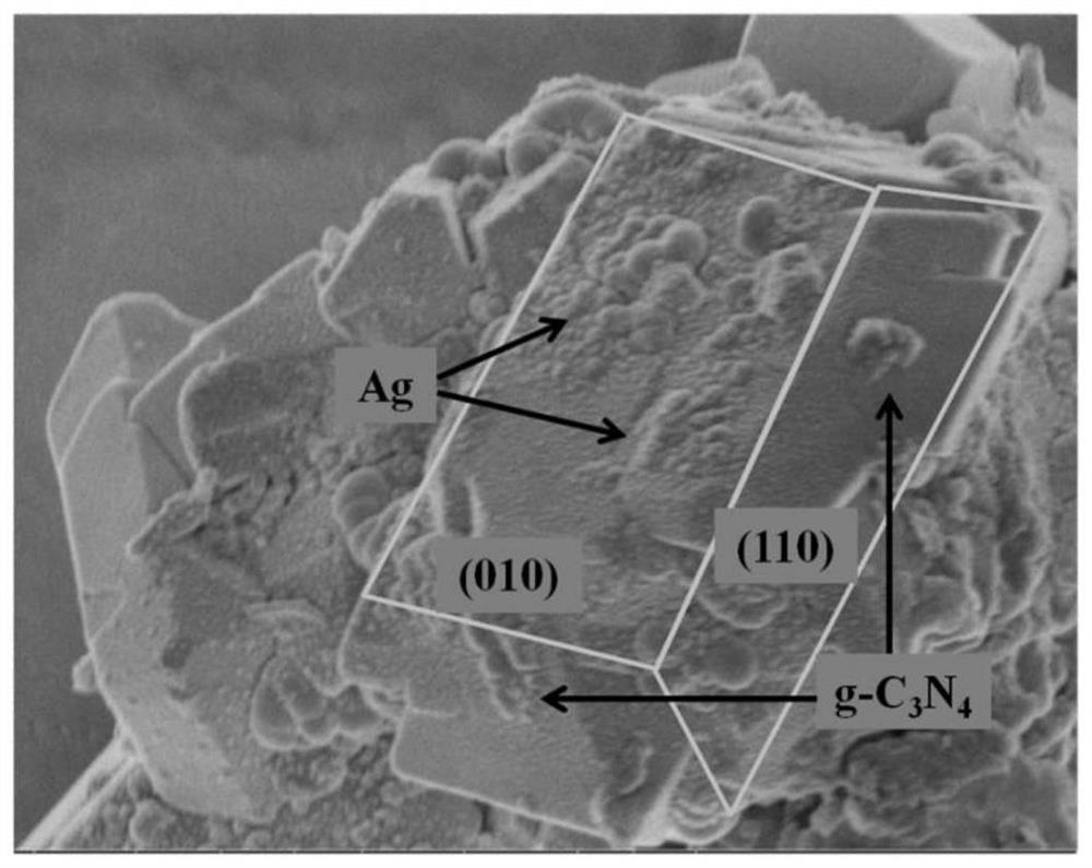 Silver/bismuth vanadate/carbon nitride heterojunction photocatalyst as well as preparation method and application thereof