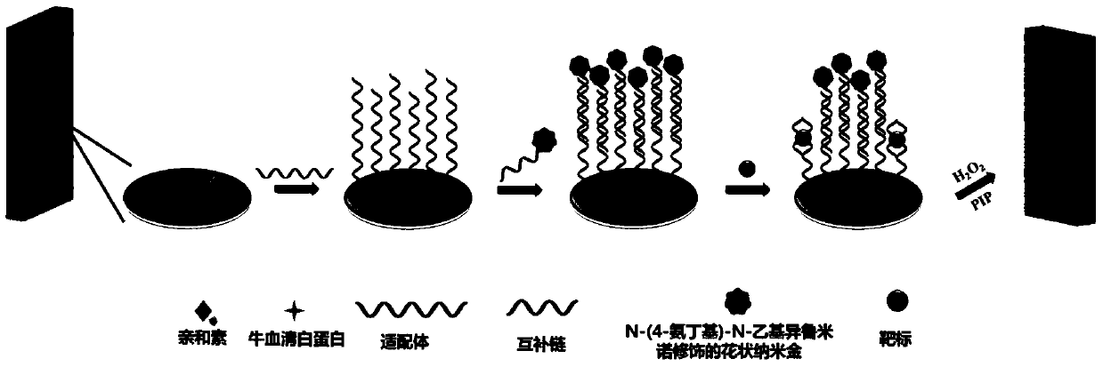 A method for the simultaneous detection of oxytetracycline, tetracycline and kanamycin based on abei-modified flower-shaped gold nanoparticles