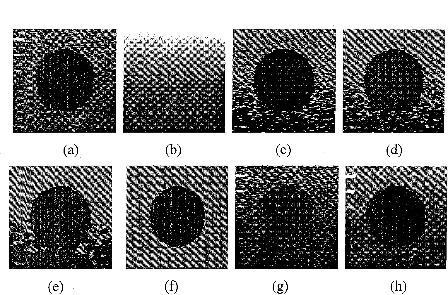 Two-dimensional blur polymer based ultrasonic image division method