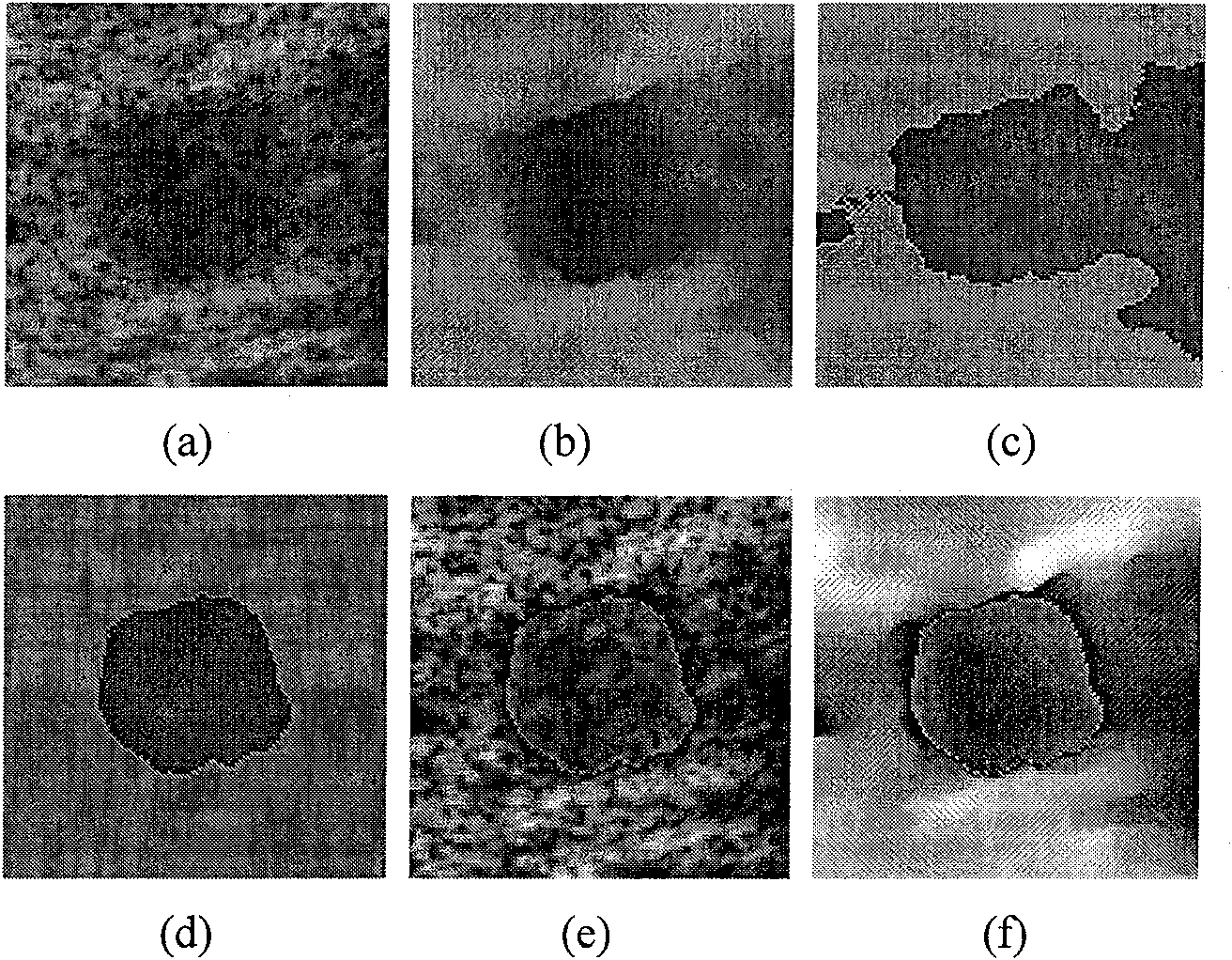 Two-dimensional blur polymer based ultrasonic image division method