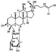 Method for preparing 20(R)-ginsenoside Rh1 by biotransformation of panax notoginseng saponins