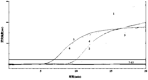 Primer and probe composition for detecting HPV (Human Papillomavirus) high-risk type 16 by applying RPA (Recombinase Polymerase Amplification) technology