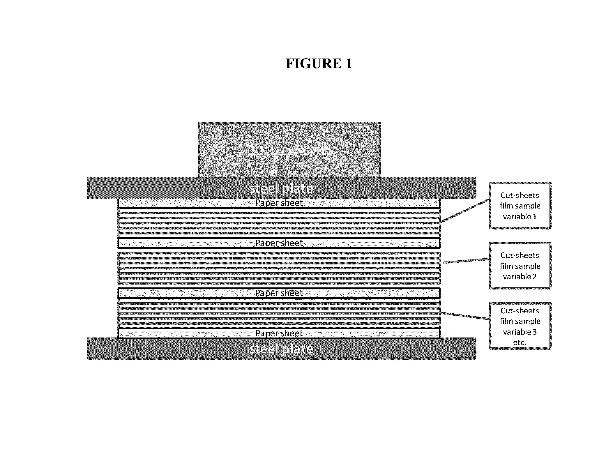 Biaxially oriented polypropylene film with low moisture vapor transmission rate