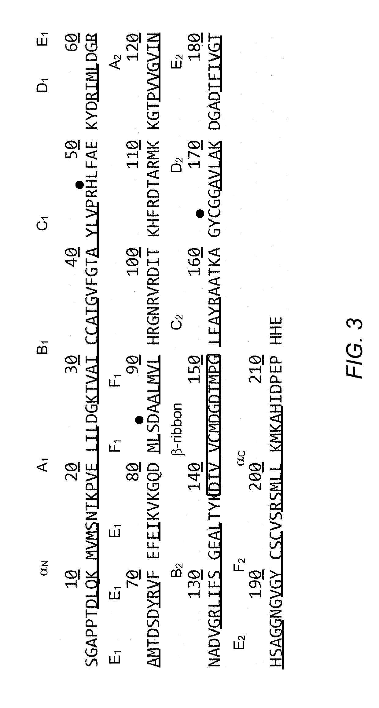 Method for producing foot-and-mouth disease virus (FMDV) viral proteins utilizing a modified fmdv 3c protease