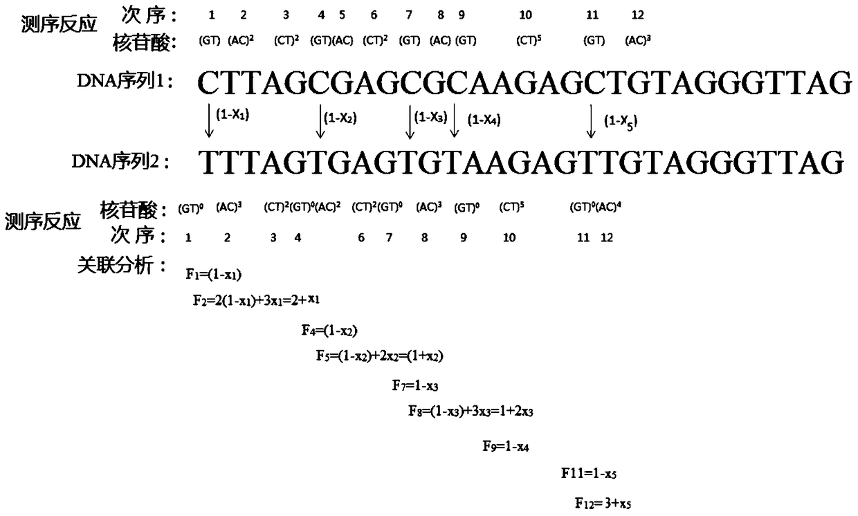 A method for the quantitative detection of methylation by pyrosequencing of two nucleotide synthesis