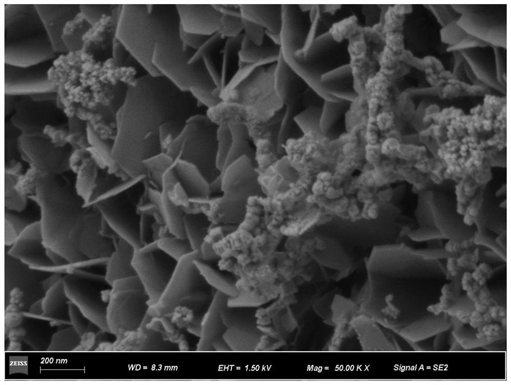 Preparation and application of metal vanadium efficient adsorption-reduction material taking waste green tea residues as raw material