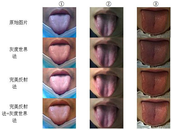 Tongue body and tongue coating image recognition and separation method