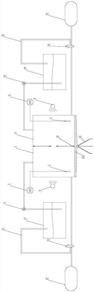 Device for inducing photosynthesis of single-sided leaves