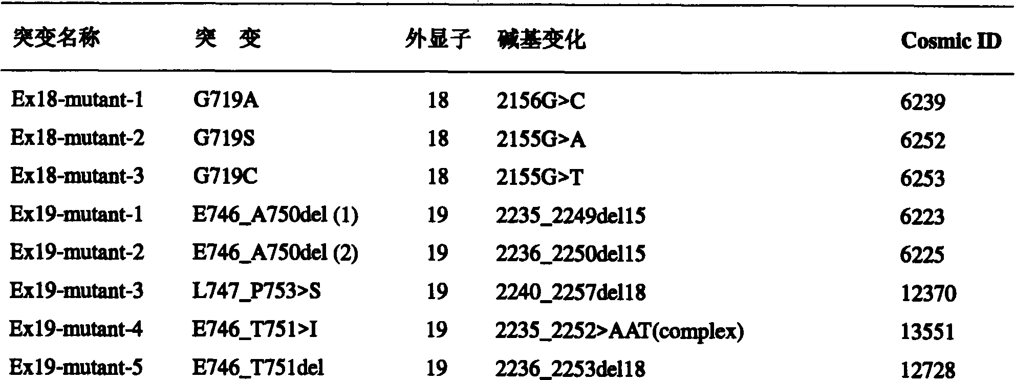 Primers and probes for detecting human EGFR gene mutations as well as use method thereof