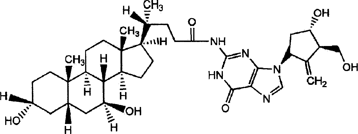 Ursodeoxycholic acid entecavir acidamide and preparation method and use thereof