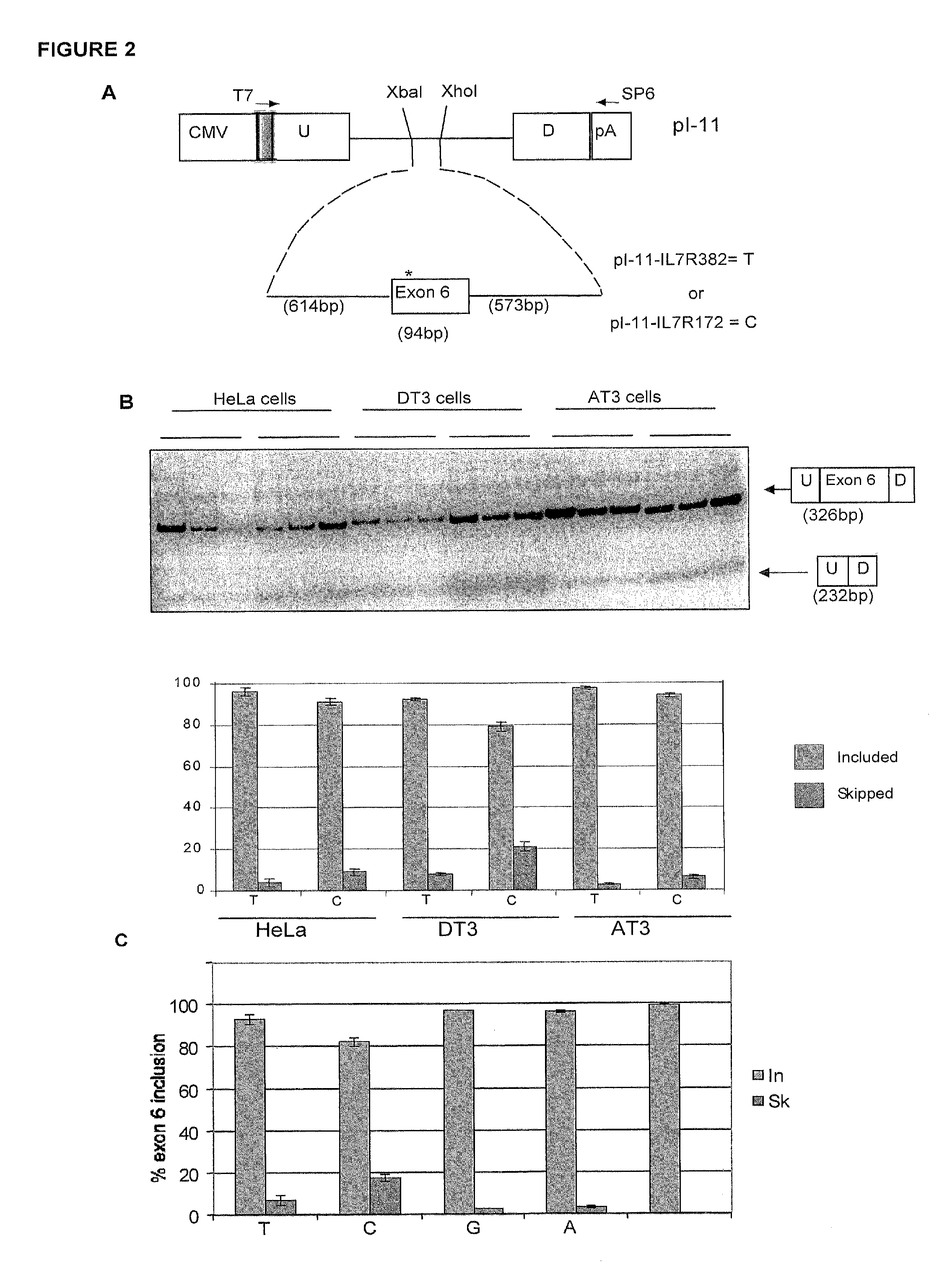 Methods and compositions for correlating genetic markers with multiple sclerosis