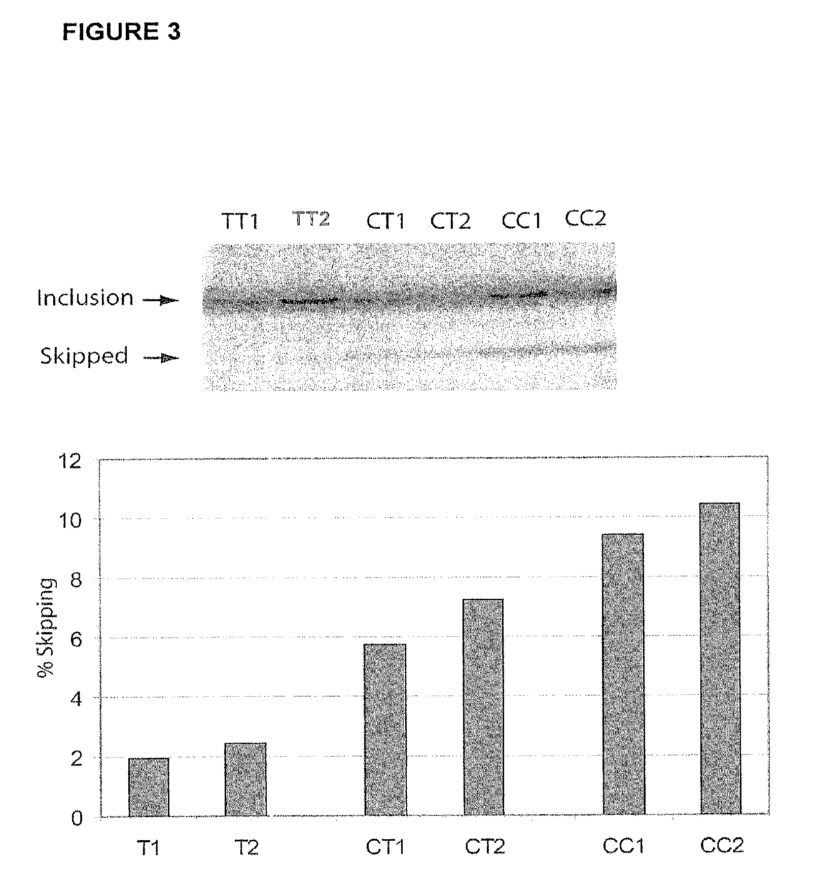 Methods and compositions for correlating genetic markers with multiple sclerosis