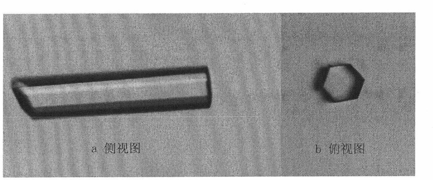 Variable-conformation recombinant interferon crystal, and three-dimensional structure and use thereof
