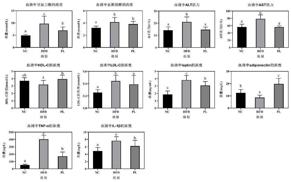 Lactobacillus plantarum Q16 with function of relieving non-alcoholic fatty liver caused by high fat diet