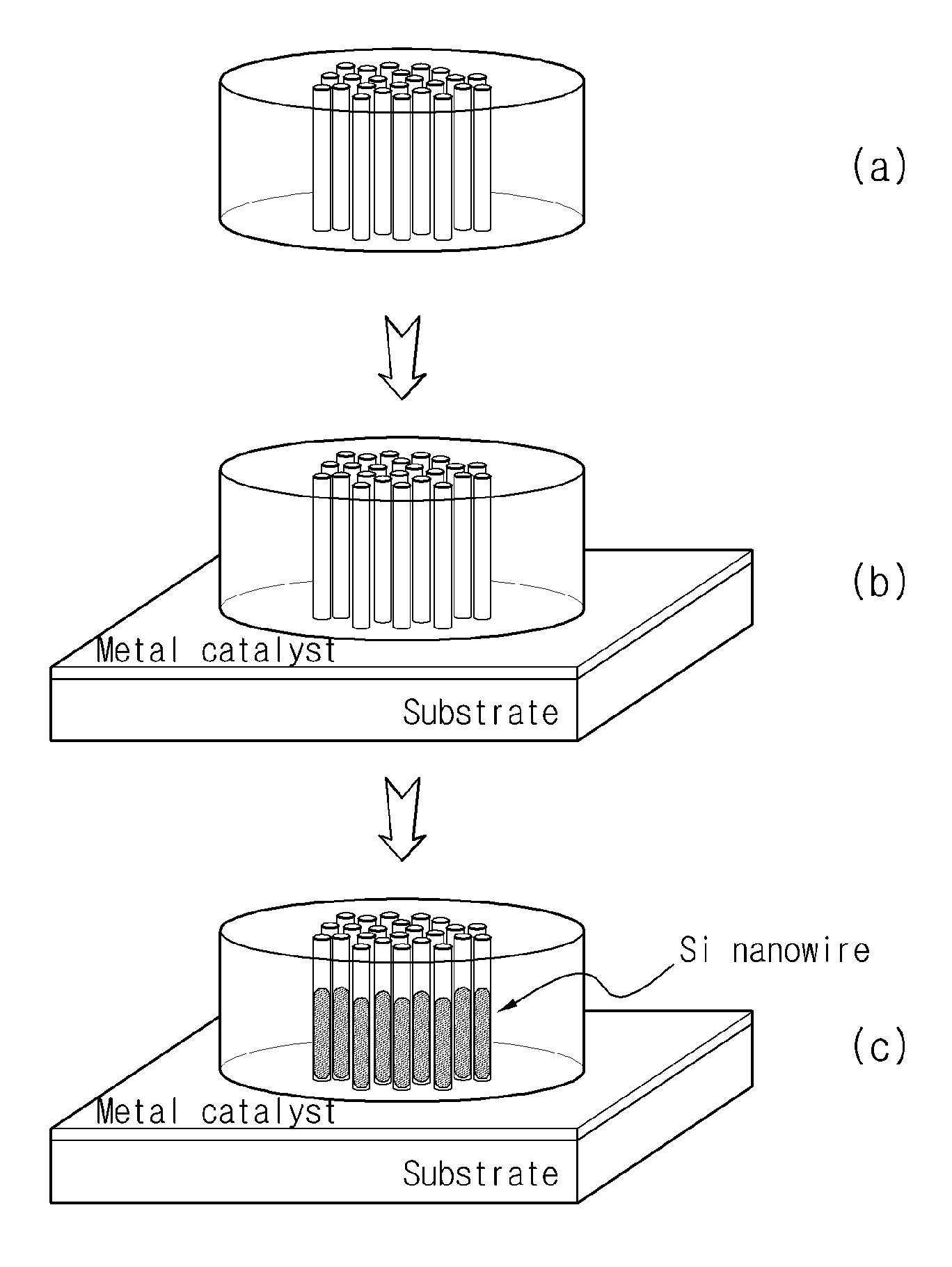 Method of manufacturing silicon nanowires and device comprising silicon nanowires formed by the same