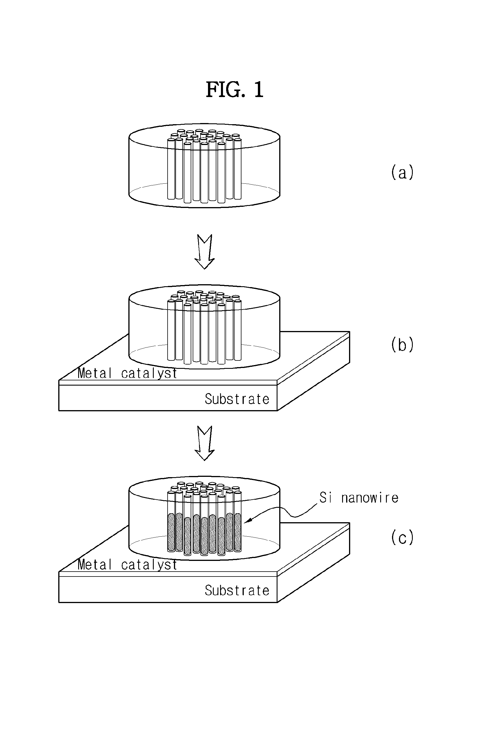 Method of manufacturing silicon nanowires and device comprising silicon nanowires formed by the same
