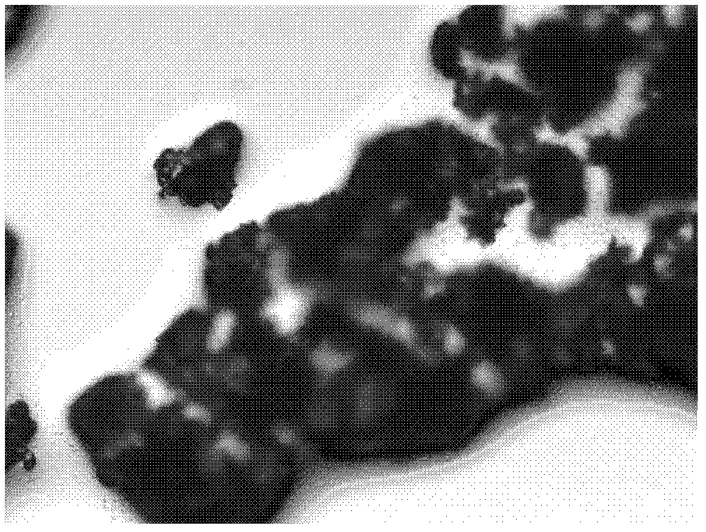 Synthetic method of dithiobenzoic acid