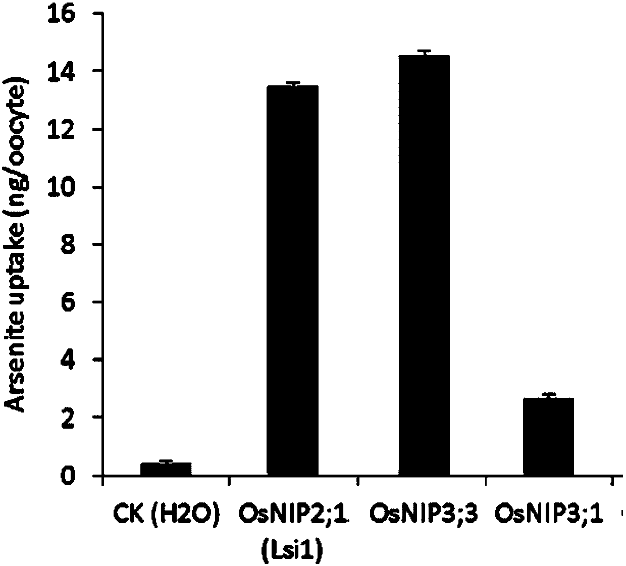 Application of water channel protein coded gene OsNIP3;3 of rice