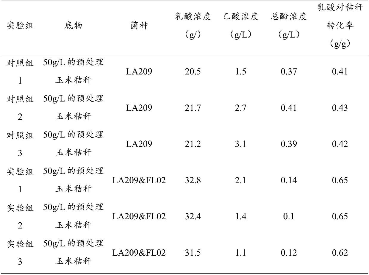 Pseudomonas aeruginosa, method for screening same and application of pseudomonas aeruginosa to lactic acid fermentation on straw