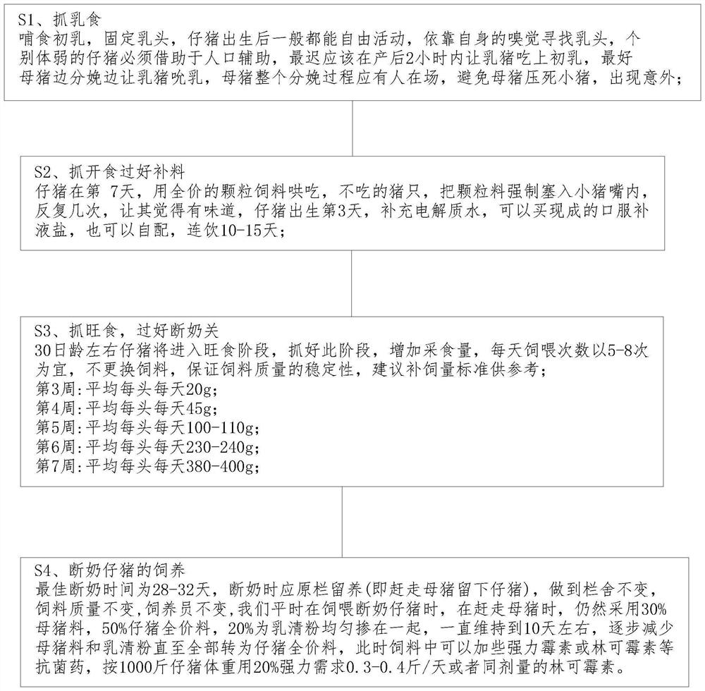 Breeding method of donor pigs