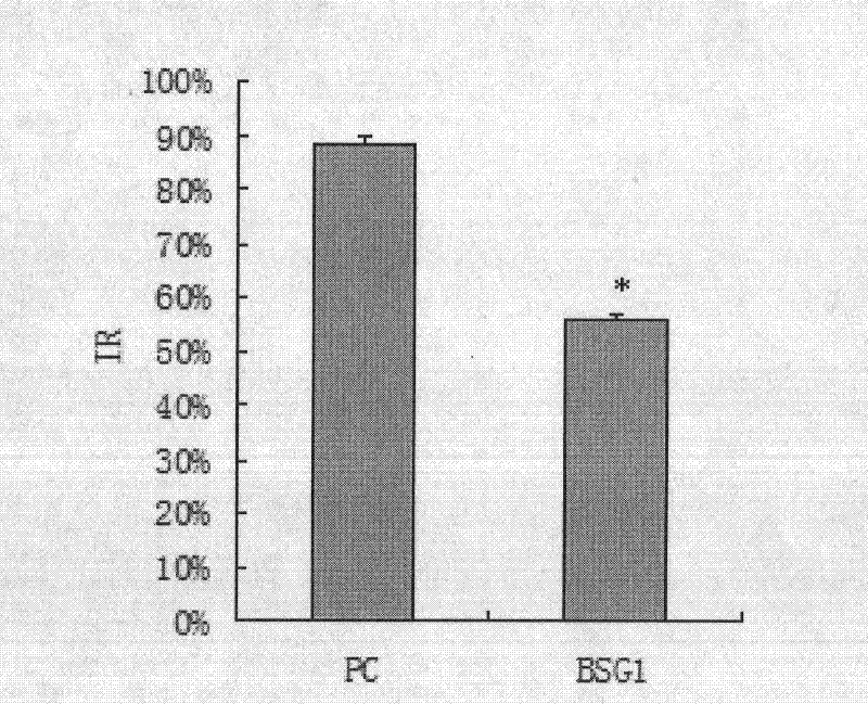Targeted human CD147 small molecule RNA interference sequence and use thereof