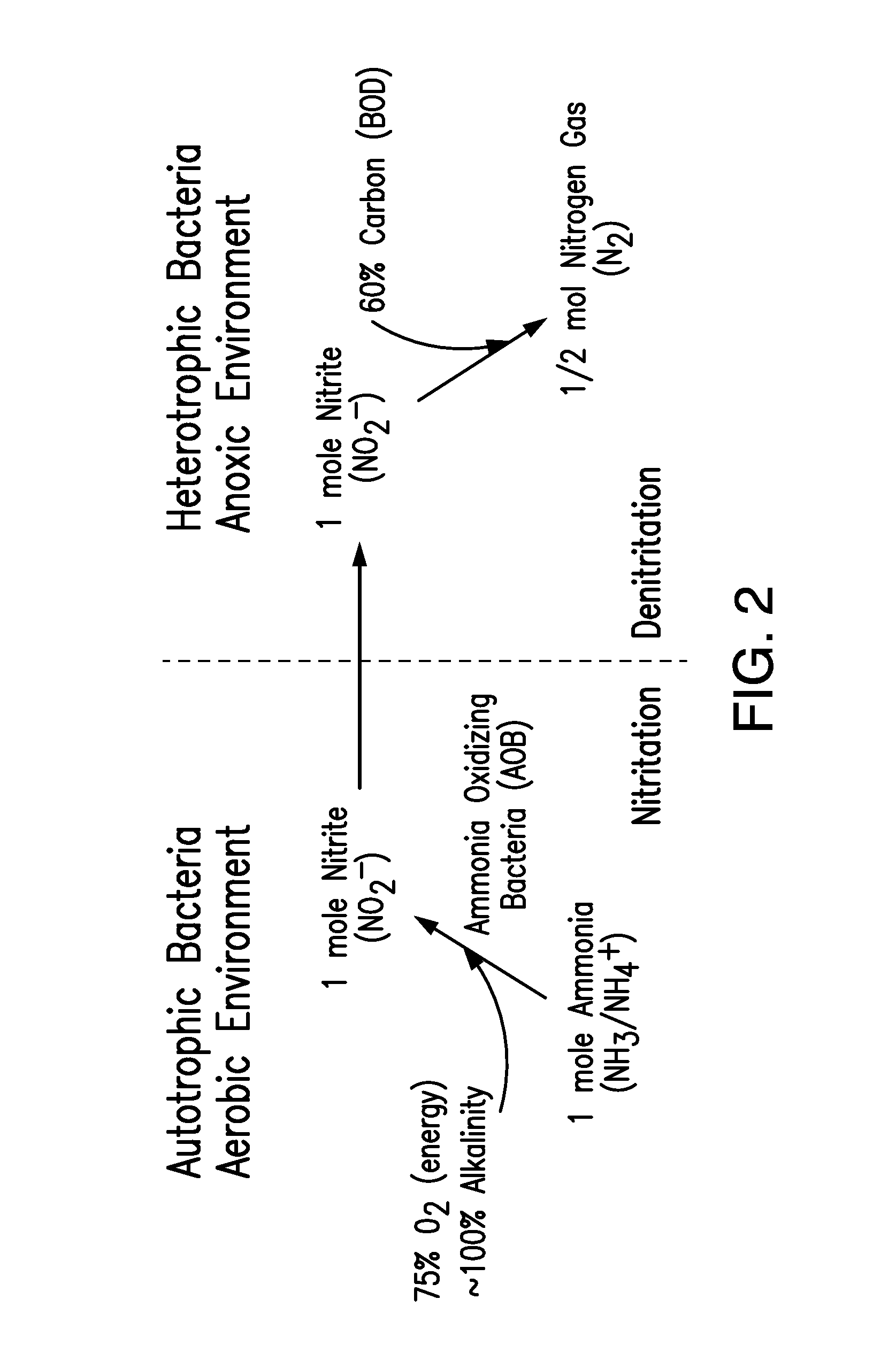 Method and apparatus for nitrogen removal in wastewater treatment
