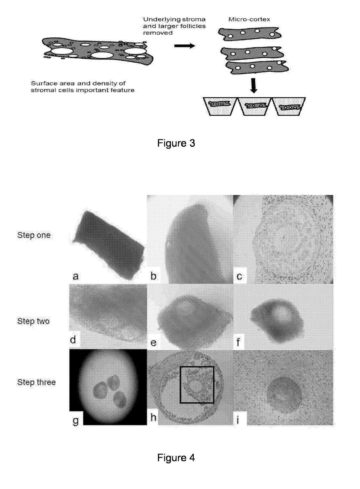 Methods of in vitro Oocyte Development