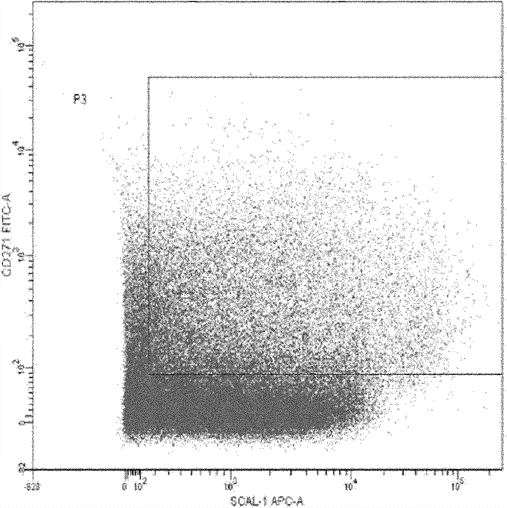 Adipose-derived stem cell separation culture method