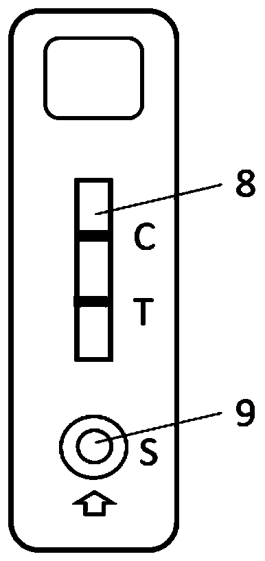 Test strip for detecting 6-monoacetylmorphine as well as preparation method and application method of test strip