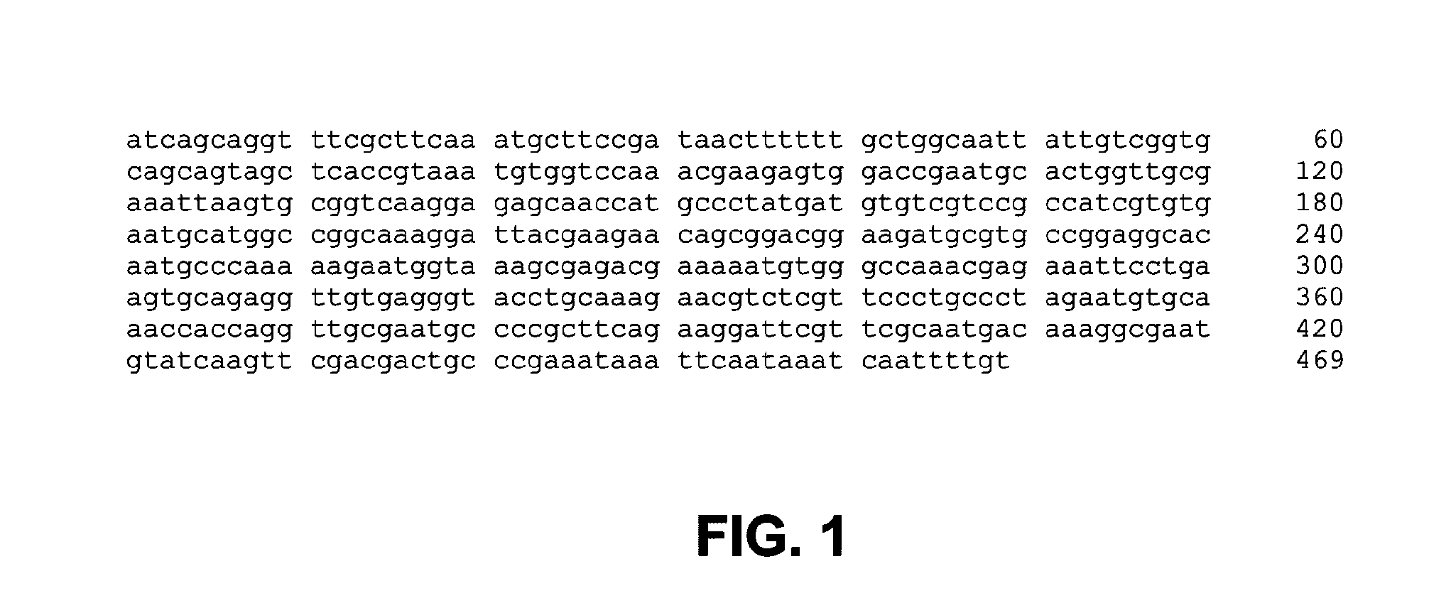 Methods, devices, kits and compositions for detecting roundworm