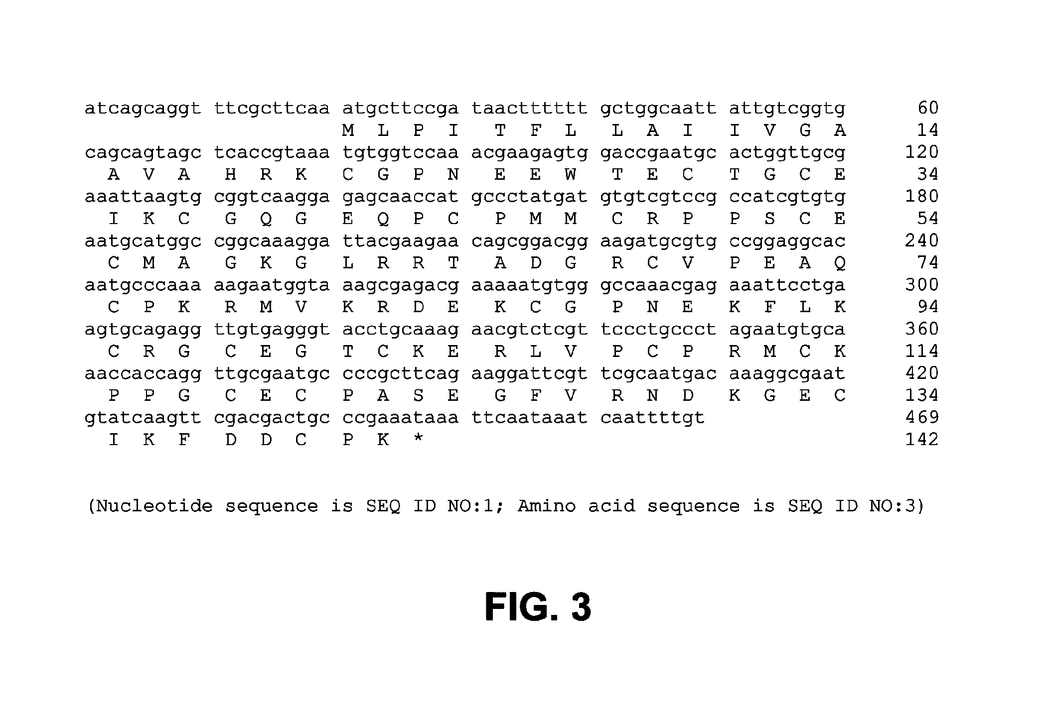 Methods, devices, kits and compositions for detecting roundworm