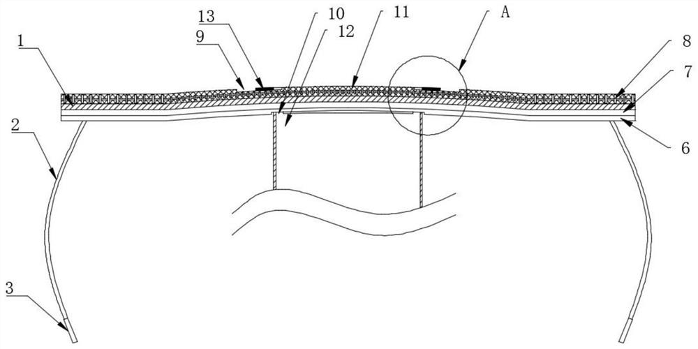 Trachea cannula nursing suite