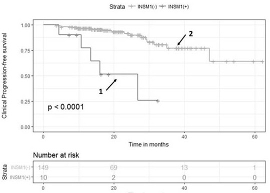 Application of insulinoma-related protein 1 as marker for diagnosing or prognostically evaluating prostate neuroendocrine small cell carcinoma