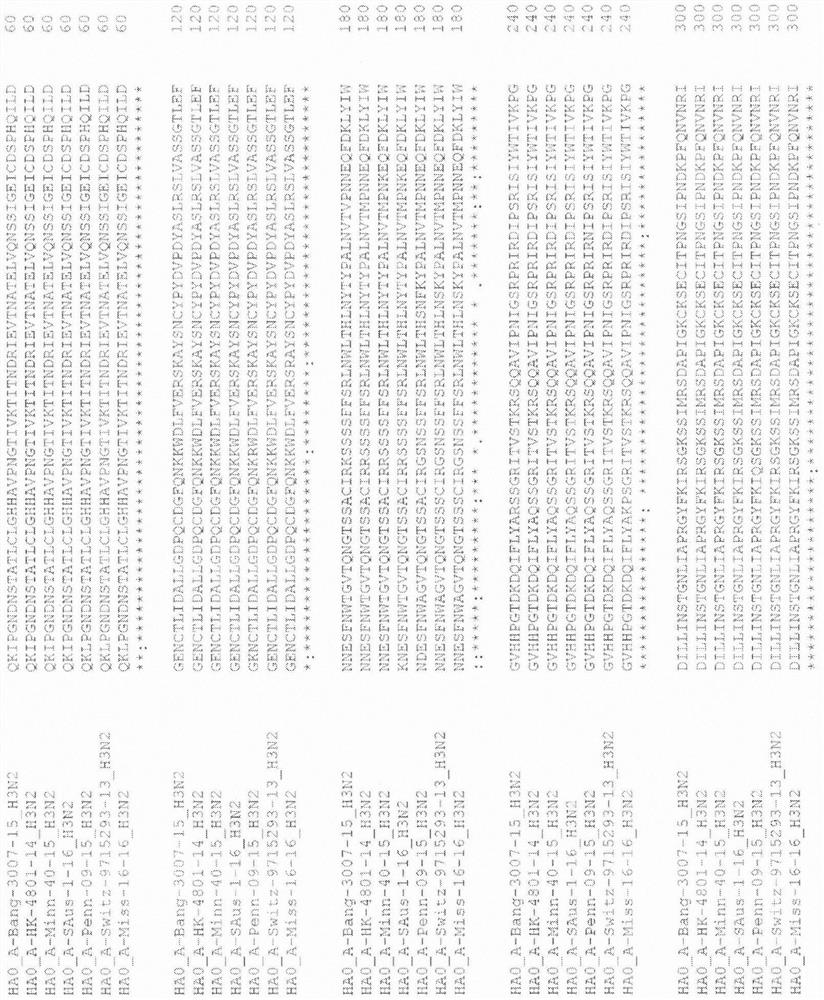 Influenza virus hemagglutinin mutants