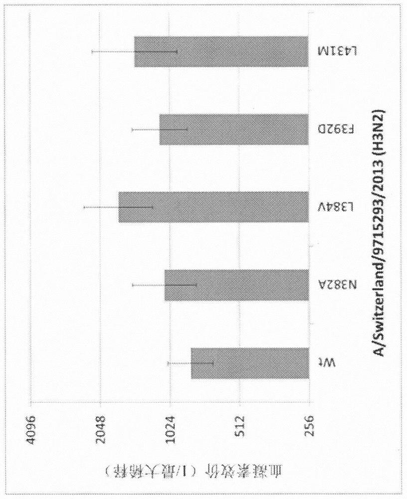 Influenza virus hemagglutinin mutants