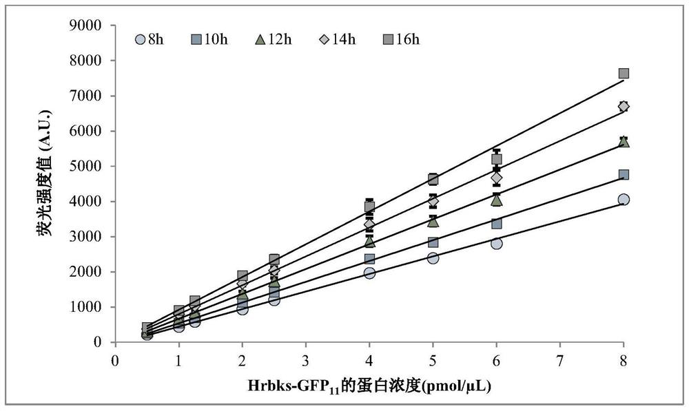 Method for quantitatively detecting target protein yield of cell-free protein synthesis system and method for screening zymoprotein with high catalytic activity