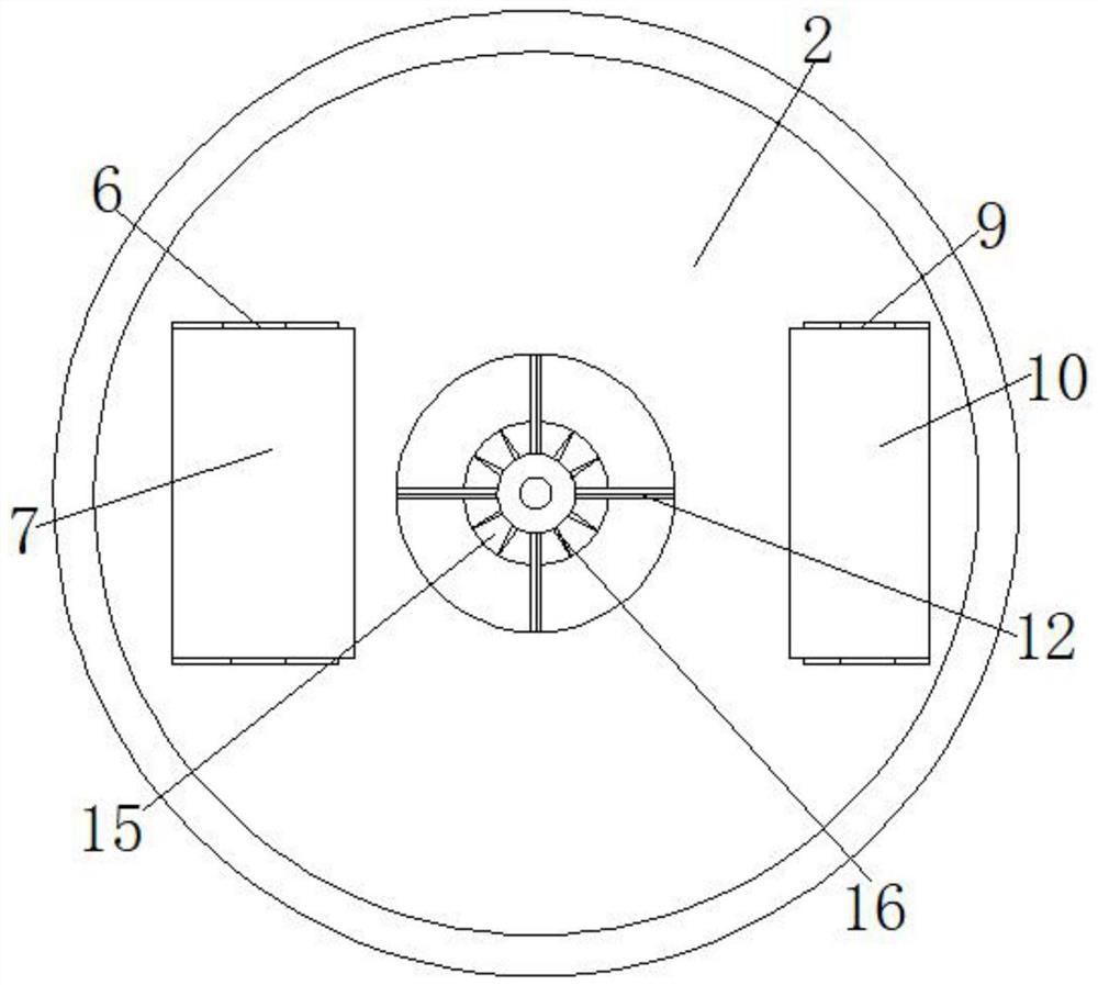 Seed removing machine for food processing