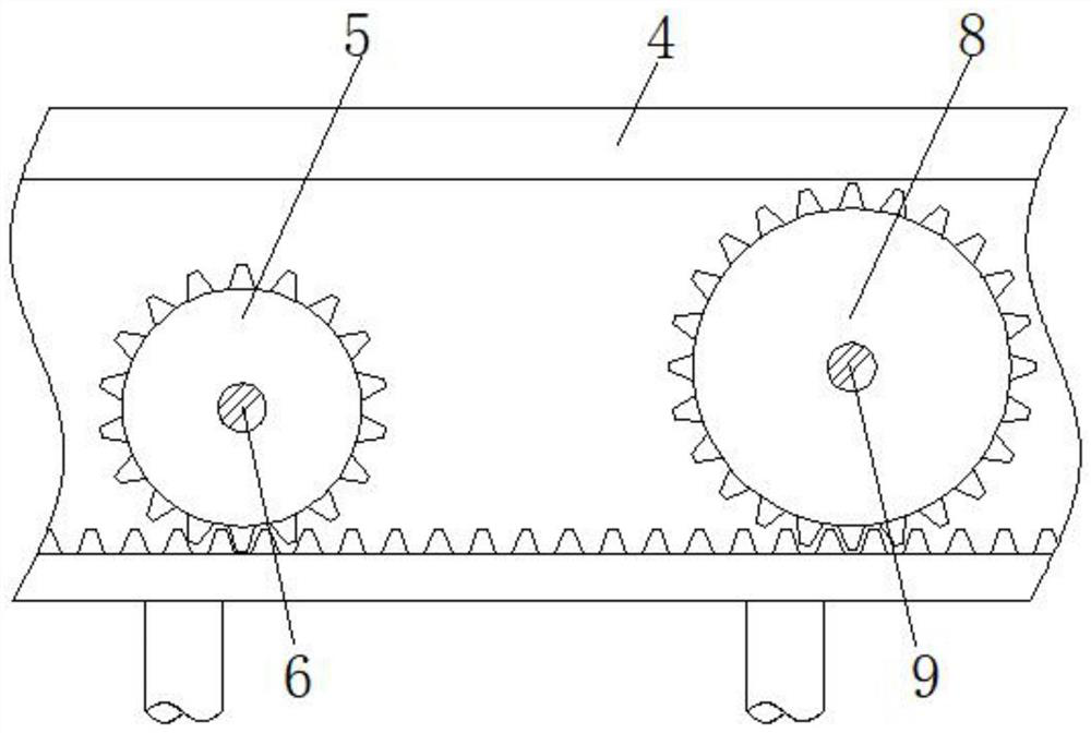 Seed removing machine for food processing