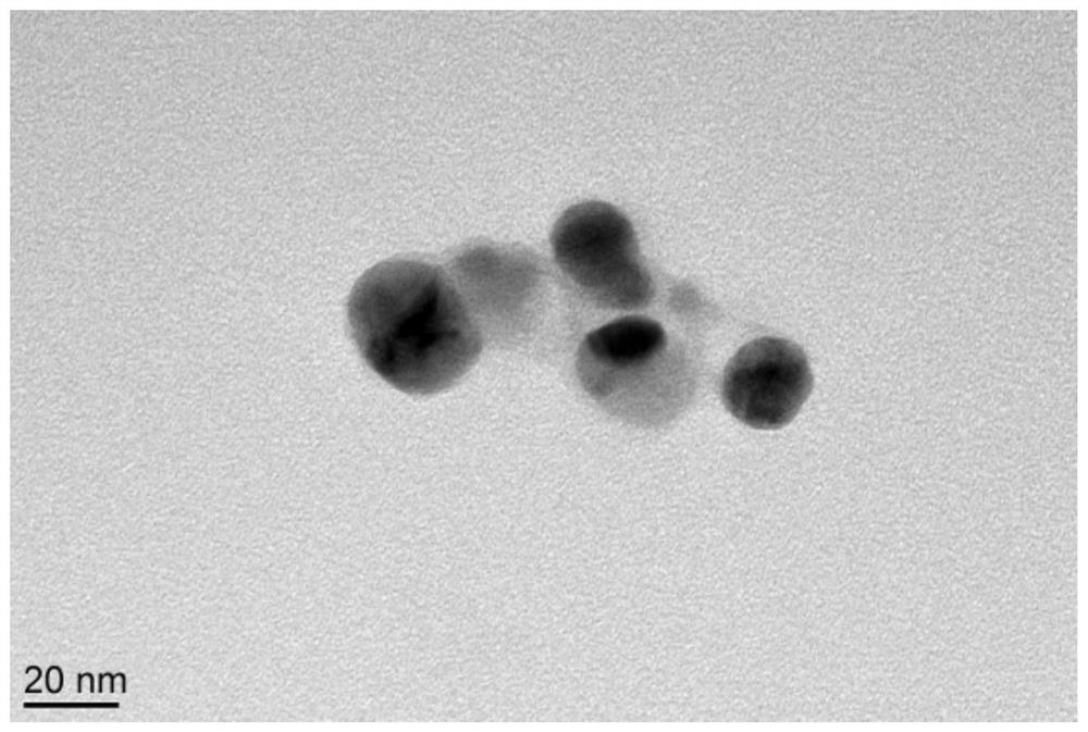 Wheat prolamin/nano-silver particles with green synthetic core-shell structure and its preparation method and application