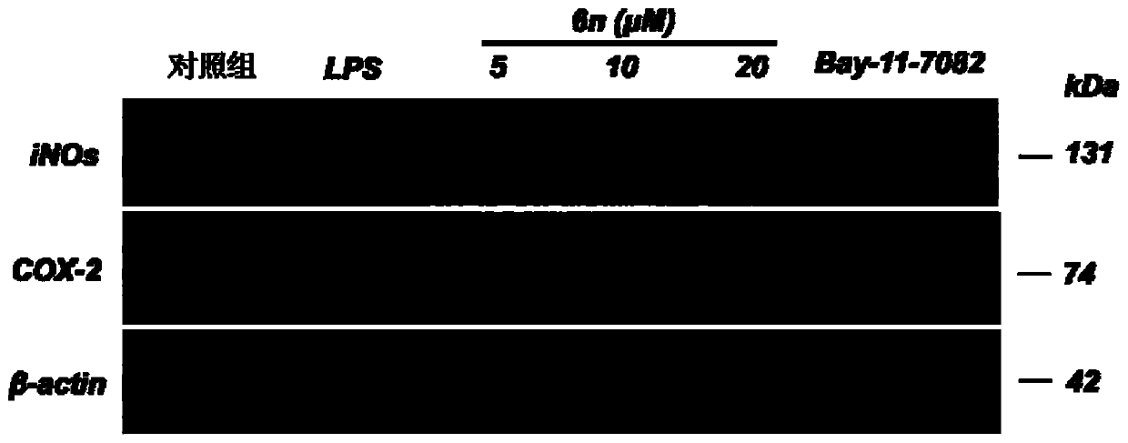 Benzyl piperazine compound with anti-inflammatory activity as well as preparation method and medical application thereof