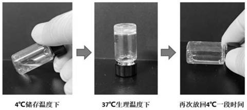 Preparation and application of a bioadhesion-enhanced thermosensitive chitosan-based hydrogel for preventing postoperative adhesions