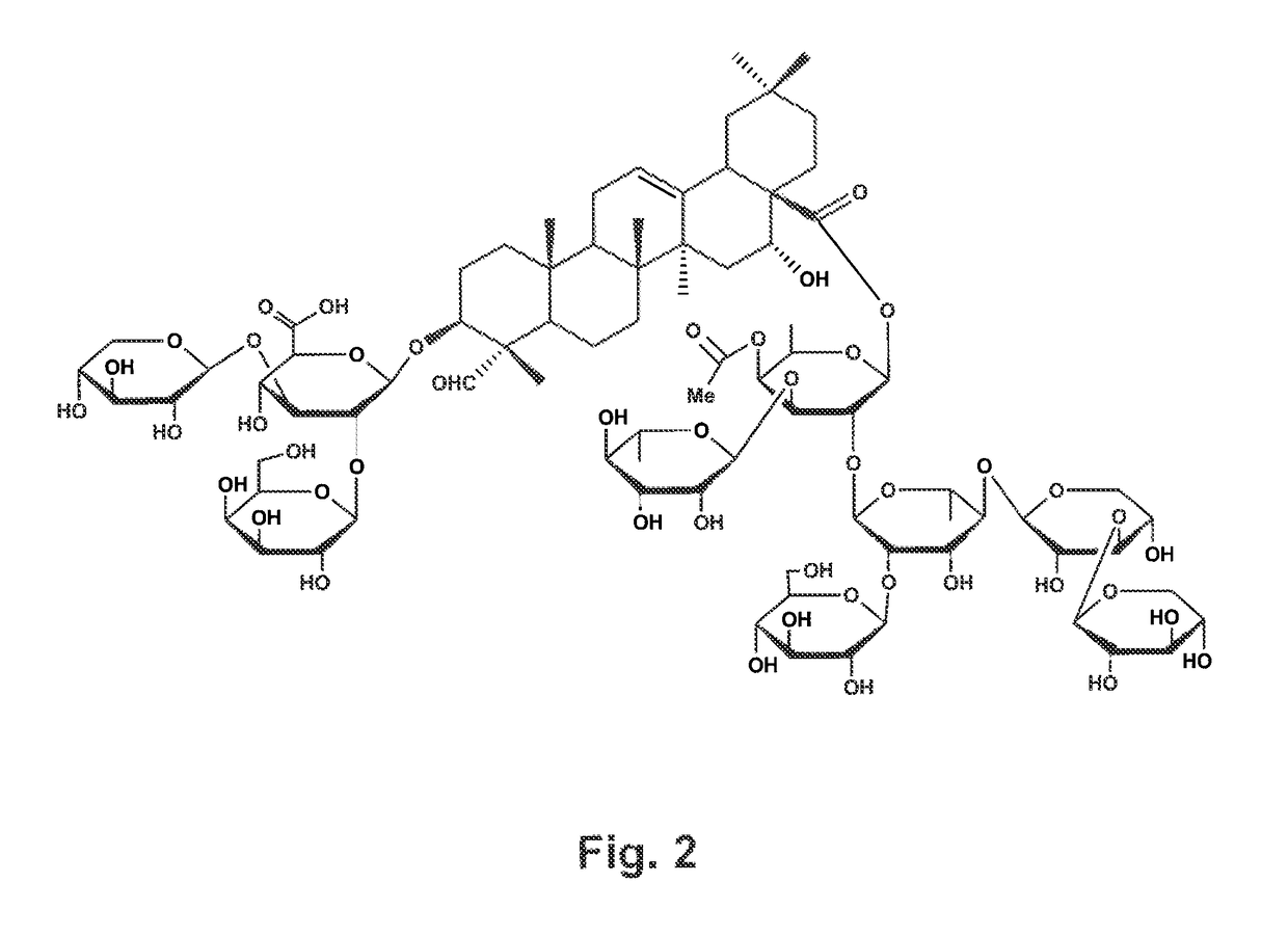 Vaccine formulations comprising quillaja desacylsaponins and beta amyloid peptides or tau protein to induce a Th2 immune response