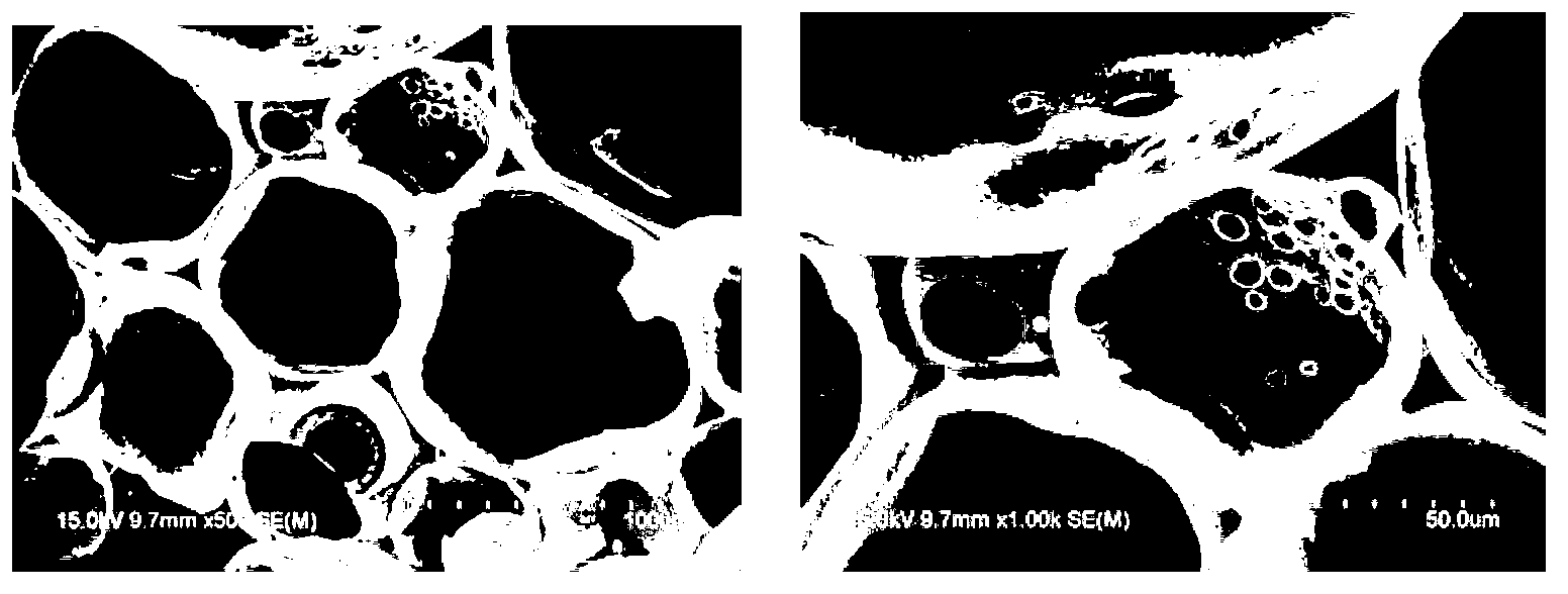 Phenol modified urea-formaldehyde foam and preparation method thereof