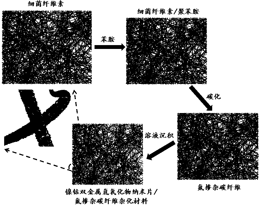 Ni-Co double metal hydroxide nanometer sheet / N-doped carbon fiber hybrid material and preparation method thereof