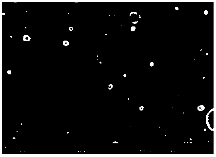 Electrodeposition preparation method of stainless steel coating by means of deep-eutectic solvent