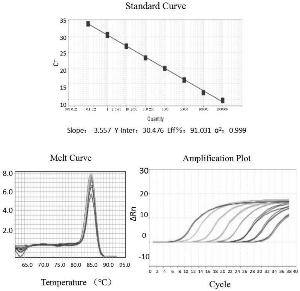 DPO primer set for detecting porcine transmissible gastroenteritis virus, kit containing the primer set and application thereof