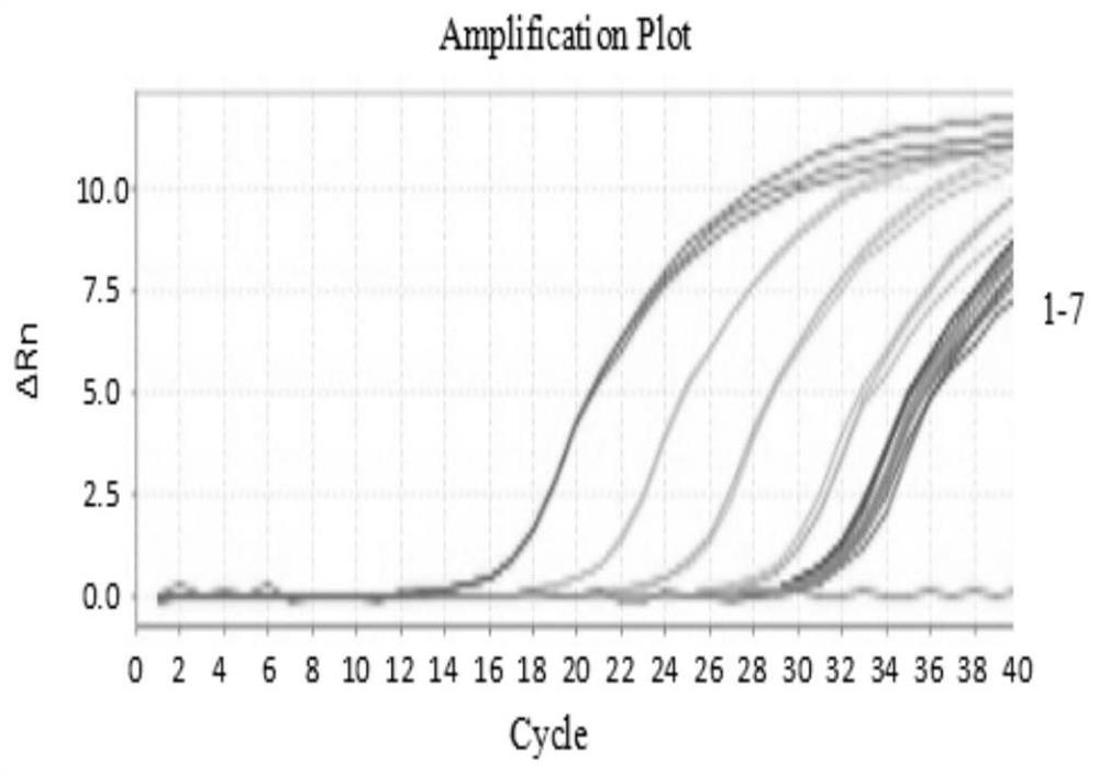 DPO primer set for detecting porcine transmissible gastroenteritis virus, kit containing the primer set and application thereof