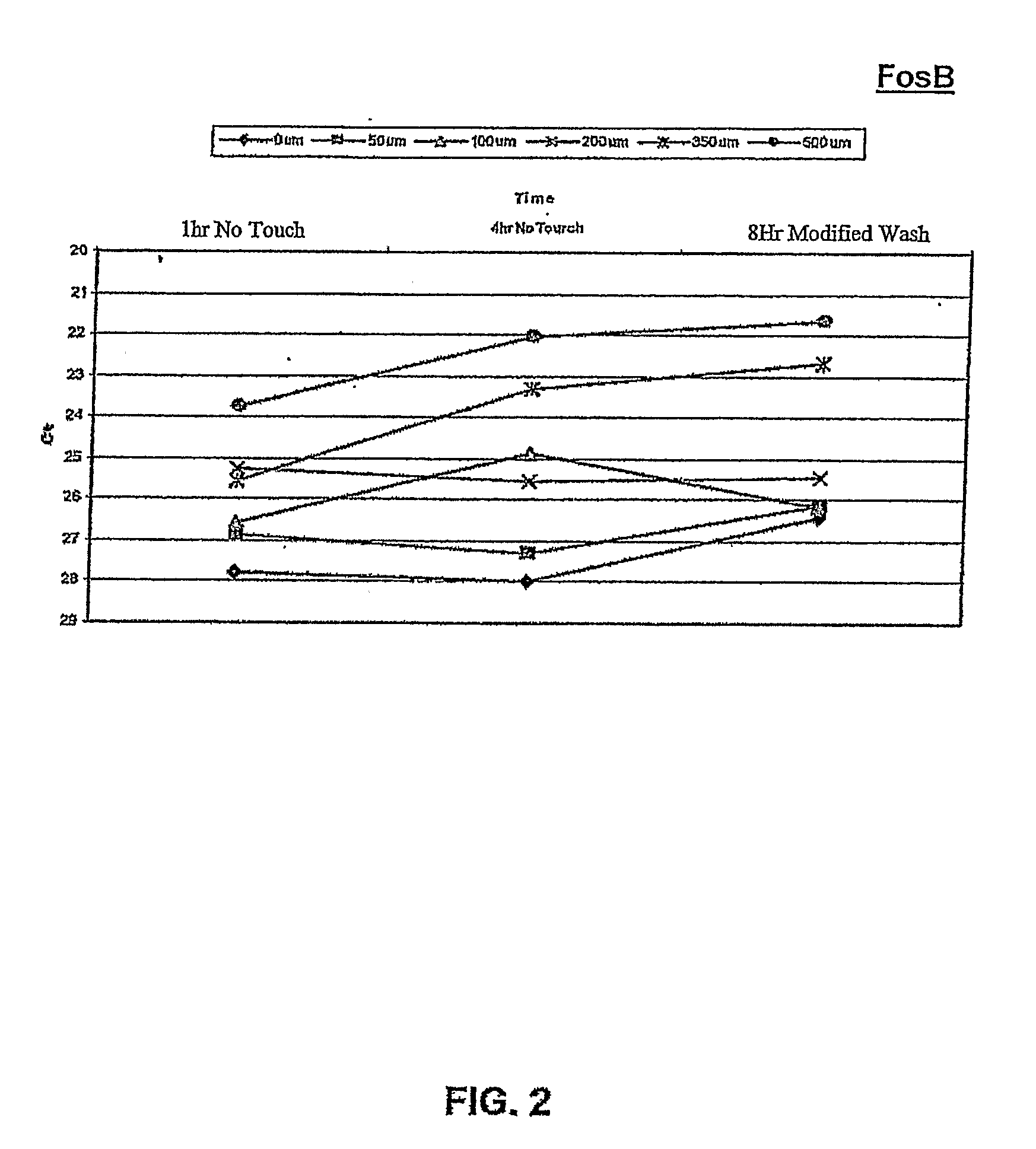 Cellular Biomarker Antioxidant Assay and Uses Thereof